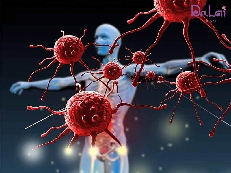 Bệnh tự miễn ngoài da là bệnh như thế nào?