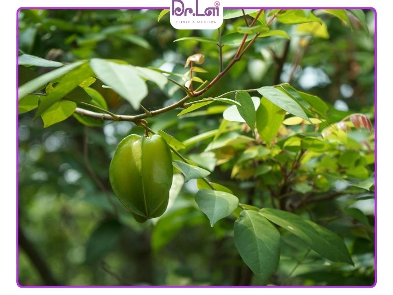 Lá khế giúp giảm tình trạng ngứa