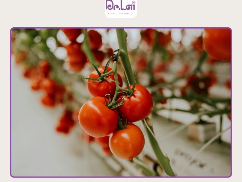 Cà chua chứa hoạt chất chống oxy hóa tốt