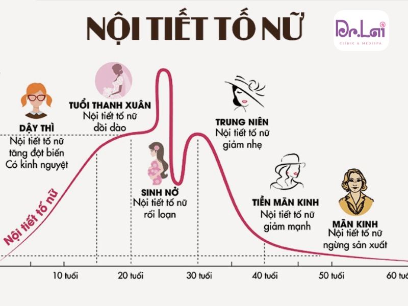 Sự mất cân bằng estrogen khiến quá trình sản sinh melanin bị rối loạn, dẫn đến nám mảng hoặc nám chân sâu khó điều trị